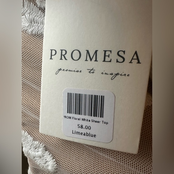 $60 NEW WITH TAGS GORGEOUS CREAM WITH NUDE UNDERLAY TOP - Picture 4 of 5